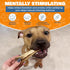 Natural Elk Antlers for Dogs, Premium Grade Dog Antler Chews, Long-Lasting Whole Deer Antlers for Medium and Large Dogs