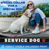 TECEUM Reflective Pet Collar, Extra Soft Padding, Basic Nylon Dog Collar with Quick Release for All Sizes