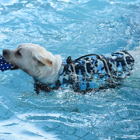 Doglay Dog Life Jacket, Adjustable Vest for Swimming Boating, Reflective Stripes, Superior Buoyancy for Dogs