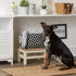 Bone Dry Small Rectangle Pet Storage Collection, Lattice Paw Print, Black
