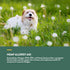 NaturVet Hemp Allergy Aid Supplement for Dogs - 60 Count for Healthy Skin & Respiratory Health