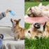 Skylety 6 Pieces Puppy Teething Chew Rings Toys - Rubber Bone-shaped Puppy Teething Toy for 2-8 Months