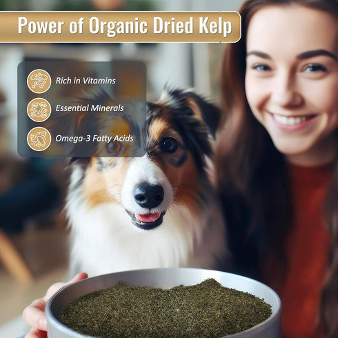 Life Line Pet Nutrition Organic Ocean Kelp Supplement for Skin & Coat, Digestion in Dogs & Cats,16oz, 20101