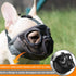 Short Snout Dog Muzzles - Adjustable Breathable Mesh Bulldog Muzzle for Training Grooming, Grey (Large/15-25")