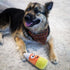 Huxley & Kent Kookie Korn Halloween Power Plush Dog Toy with Squeaker, Fun, Durable, Safe Gift for Dogs, H&K Squeaky