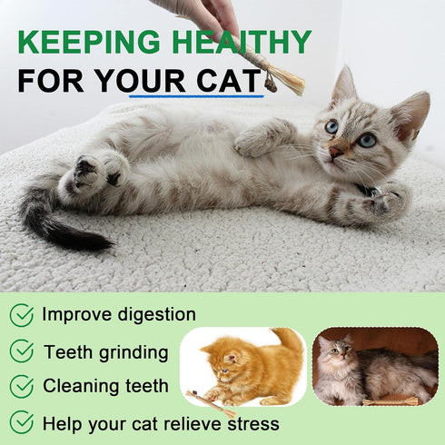Cat Toy (6 PCS) Silver Rattan Stick, Catnip Stick for Training, Chew Stick, Indoor Interactive Toy