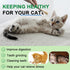 Cat Toy (6 PCS) Silver Rattan Stick, Catnip Stick for Training, Chew Stick, Indoor Interactive Toy
