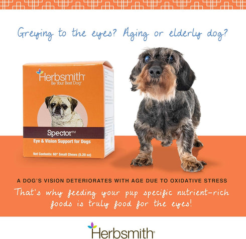Herbsmith Spector - Eye & Vision Support for Dogs, Senior Supplement for Greying Eyes, Antioxidant, 60Ct Large Chews