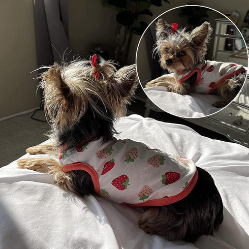 Small Dog Shirt - Cute Puppy Cat T Shirt Clothes - Soft Cotton Sleeveless Tee for Small Dogs Cats Summer Vest (Red