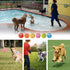 Latex Dog Chewing Squeaky Ball Toys, 6PCS/Set for Puppy Small Medium Pets