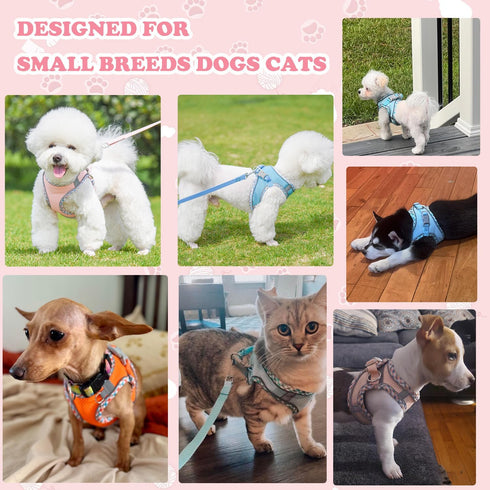 Dog Harness and Leash Set, No Pull Adjustable Reflective Pet Harness for Small Medium Dogs (Pink, S)