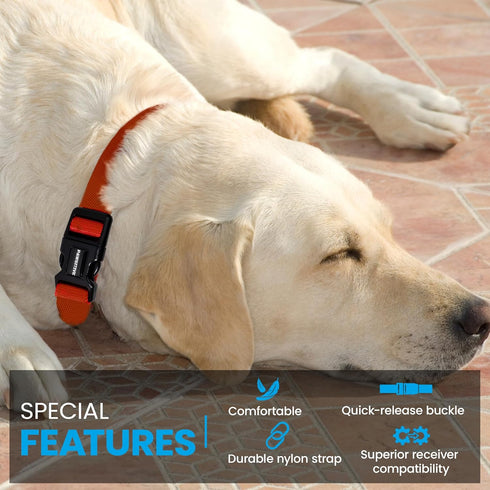 Nylon Replacement Collar, Shock Collar Replacement for Extreme Dog Fence & Invisible Fence, Fits Most PetSafe Collars