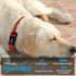 Nylon Replacement Collar, Shock Collar Replacement for Extreme Dog Fence & Invisible Fence, Fits Most PetSafe Collars