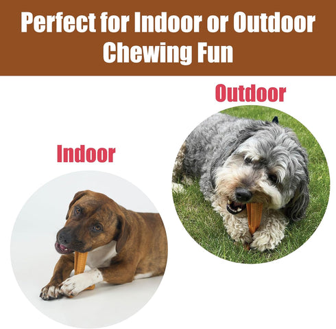 SPOT 60lbs, 6in, Bam-Bones Plus T Bone - Bamboo Fiber & Nylon, Durable Long Lasting Dog Chew for Aggressive Chewers Toy
