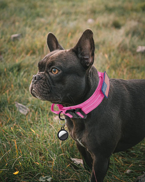 Reflective Tactical Dog Collar, Adjustable Military Nylon with Handle for Medium Large Dogs, Pink, XL