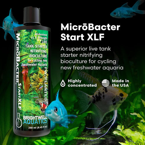 Brightwell Aquatics MicroBacter Start XLF - Concentrated Freshwater Nitrifying Bacteria - Quick Start Fish Tank Starter, Lift Microbe Levels & Water Filtering - Aquarium Water Treatments, 8.45 fl oz
