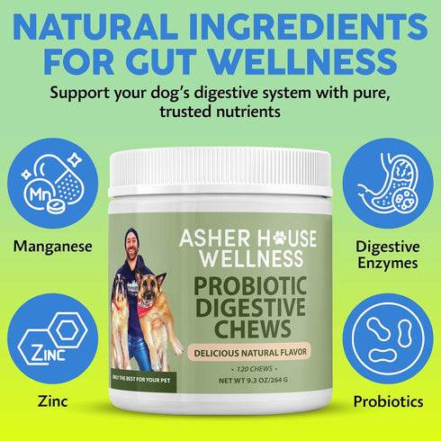 Upset 120 Asher House Wellness Probiotics Digestive Chew for Dogs - Dog Probiotic, Digestive Enzymes for Gut Health