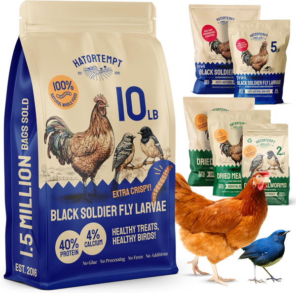 Hatortempt 10lb Dried Black Soldier Fly Larvae - More Calcium Than Mealworms