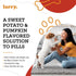 102 8 oz Sweet Potato Pill Wrap for Dogs - Pumpkin Moldable Paste - Hide Dog Medication Pouches - Medicine Treats Pill
