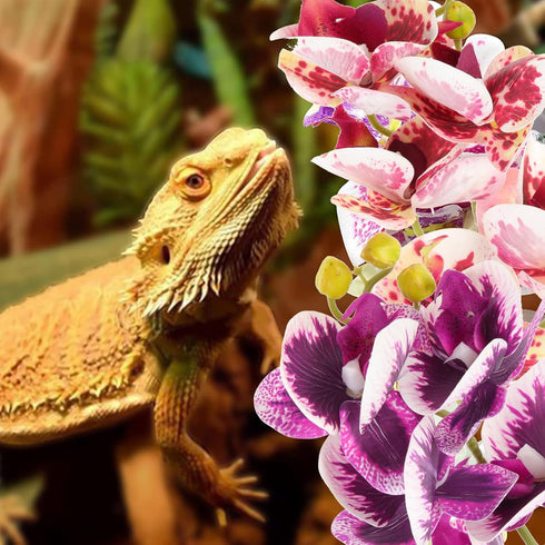 2pcs (22cm 29cm) Toyvian Artificial Reptile Plants Lifelike Simulated Plant Ornaments for Terrarium Decor Plastic Fake