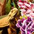 2pcs Alasum Artificial Reptile Plant Ornaments Simulation Aquarium Landscaping Plants for Terrarium Habitat Decor