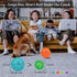 4.5” Squeaky Dog Balls, Toys for Medium Large Dogs, Spiky Ball for Aggressive Chewers, Big Outdoor Chew Toys