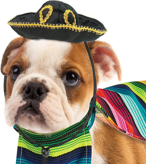 Skeleteen Mexican Serape Dog Costume, Cinco de Mayo Poncho and Sombrero Costumes for Pets (Size L) for Small Breeds