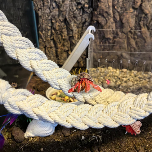 (3pcs kathson Snake Climbing Toys, Corn Snake Enrichment Toys Rope Ladder, Hermit Crab Climbing Toy Reptile Tank