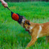 Dingo Gear Dog Tug Ball 6" - Strong Tugger, Bite Training, IGP, K9, Fun (Red S02781)