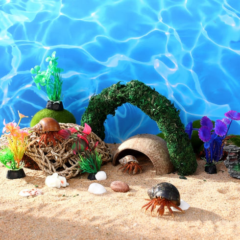 Fiwochic 14 Pcs Hermit Crab Accessories Natural Hermit Crab Toys Coconut Shell Hideout Climbing Bridge Moss Stick