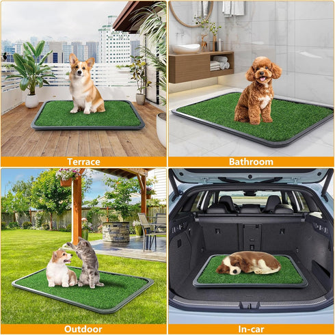 Tray,30x20 2-Pack Dog Grass Pad with in Dogs Potty Tray with Upgraded Replacement Artificial Grass,Dog Litter Box