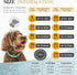 Stylish Luxurious Diamond Dog Collar, Magnetically Absorbent Clasp, Full Diamond Design, Blue Diamonds Necklace Collar
