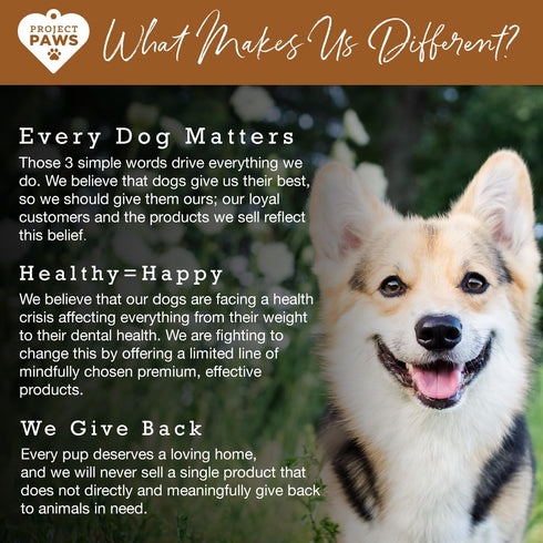 Bone Broth for Dogs with Powdered Elk Antler, Collagen and Mineral Rich Food Topper, 4 oz Superfood Powder