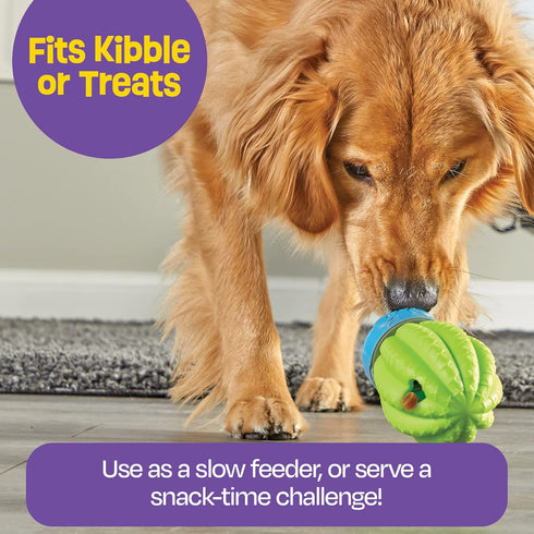 Brightkins Cactus Surprise Treat Dispenser, Dog Birthday Toy, Treat Dispenser for All Breeds, Medium