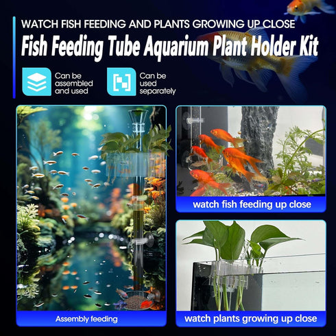 Fish Feeding Tube Aquarium Plant Holder Kit, Removable Length Shrimp Feeding Dish for Fish Tank