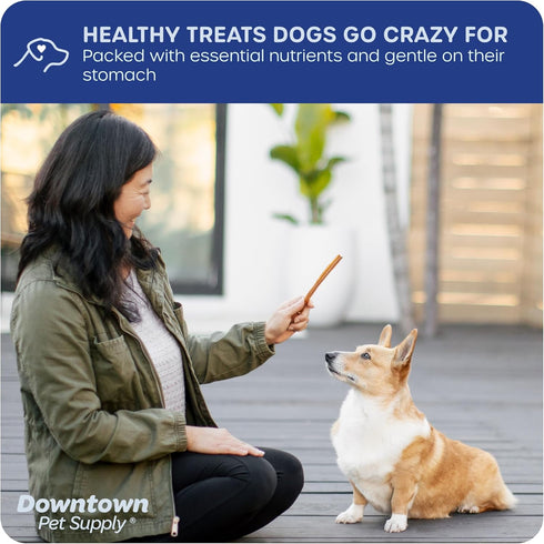 Downtown Pet Supply Bully Sticks for Dogs, Junior Size (6", 12-Pack) Rawhide Free Chews