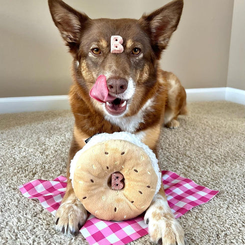 Interactive Bagel Shape Dog Plush Squeaky Toy, Snuffle Puzzle Enrichment Toy for Small and Medium Dogs
