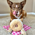 Interactive Bagel Shape Dog Plush Squeaky Toy, Snuffle Puzzle Enrichment Toy for Small and Medium Dogs