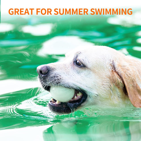 SKIPDAWG Interactive Squeaky Light Up Dog Ball | Glow in Dark, Floating Toy, Durable TPR, 2.5 Inches