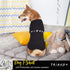 Iconic Logo Dog T-Shirt in Black, Soft Lightweight Pull-Over for Medium Dogs, Size Medium (M)