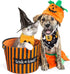 8 Pieces Halloween Dog Bandanas, Adjustable Pet Scarf for Halloween Holiday Costume, Spider Style