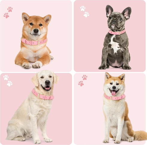Soft Padded Leather Dog Collar for Small Medium Large Dogs, Durable & Comfortable with Heavy Duty Gold Buckle, Pink, S