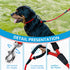 Dog Leash, Braided Rope Traction, Walking Training Lead for Medium/Large Dogs (1/2", 6FT, Red)