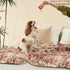 2 Pack 36"x41" Qeils Washable Pee Pads for Dogs, Reusable Puppy Pads Super Absorbent Leakproof Dog Training Pads
