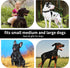 Soft Padded Cotton Dog Collar, Breathable Solid Color Adjustable Pet Collar for Little Puppies by lynxking