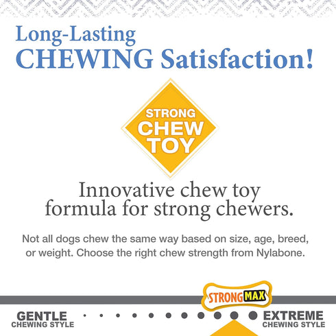 Nylabone Dog, Puppy Gourmet Style Strong Chew Toy, Wishbone Peanut Butter Small/Regular (1 Count)