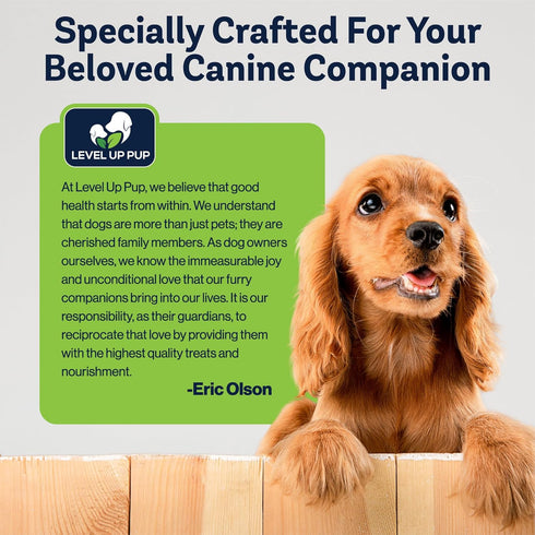 Level Up Pup LVL Up Pup Dog Joint Supplement for Senior Dogs Hip & Joint Supplement for Dogs with Glucosamine
