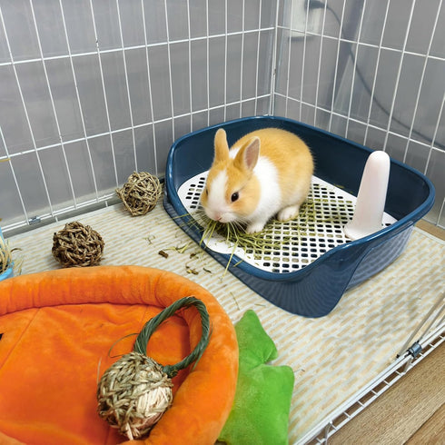Chinchilla(15.7" 11.8" 3.9",Blue) Tfwadmx Rabbit Litter Box Guinea Pig Litter Boxes Small Animal Toilet Corner Pan