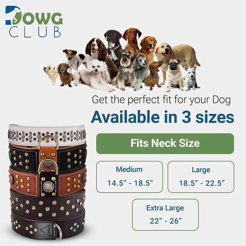 Genuine Leather ‘Cupola’ Series Dog Collar, Rhinestone, Soft Cushion Padding, Handmade (M, Neck Size 14.5"-18.5",