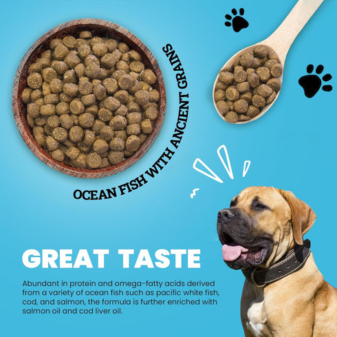Muenster Ancient Grains Dog Food (4lb) - Ocean Fish Dry Dog Food for Large Dogs – Gluten Free, Non-GMO High Protein